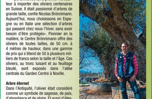 La méditerranée dans votre jardin